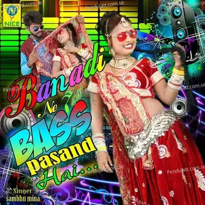 Banadi Ne Bass Pasand Hai - Shambhu Meena album cover 