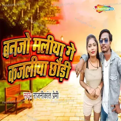 Banajo Maliya Ge Kajaliya Chhaudi - Rajanikant Premi album cover 