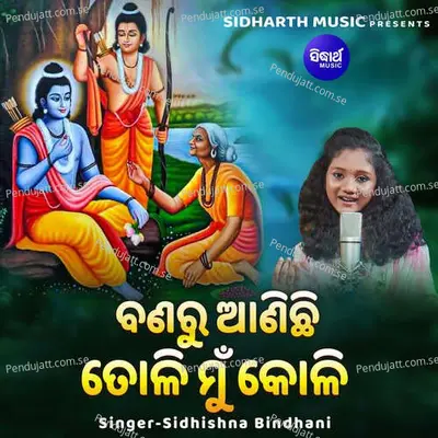 Banaru Anichi Toli Mun Koli - Sidhishna Bindhani album cover 