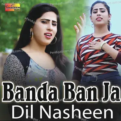 Banda Ban Ja - Dil Nasheen album cover 