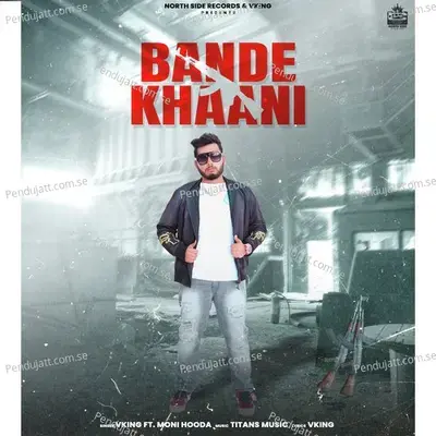 Bande Khaani - Vking album cover 