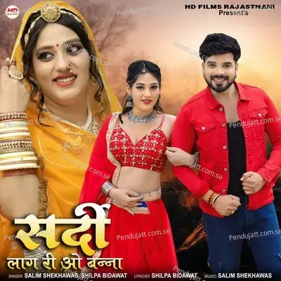 Sardi Laag Ri O Banna - Salim Shekhawas album cover 