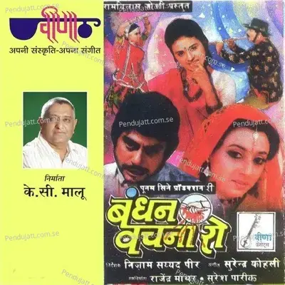 Aayo Re Aayo Din Rakhadi Punam - Usha Mangeshkar album cover 