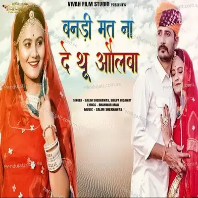 Bandi Mat Na De Thu Olba - Salim Shekhawas album cover 
