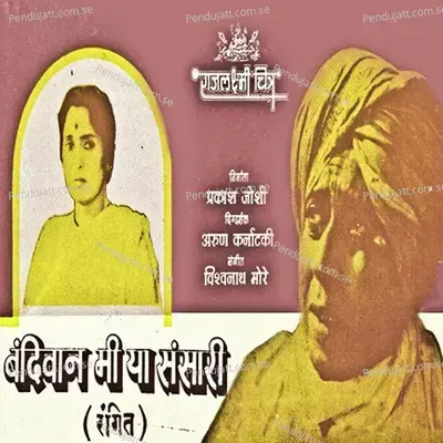 Saavaj Gavana - Vishwanath More album cover 