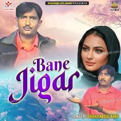 Bane Jigar - Shiekh Abdul Ahad cover album