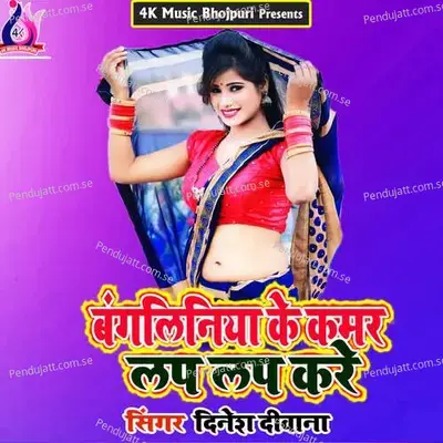 Age Saal Hoi Bhatijwa - Dinesh Deewana album cover 