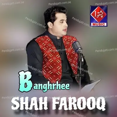 Bangrhee - Shah Farooq album cover 