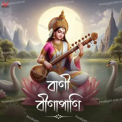 Bani Beenapani - Debadrito Chattopadhyay album cover 