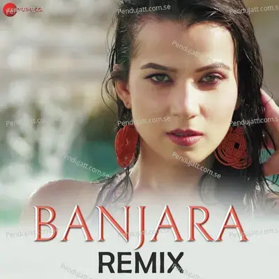 Banjara Remix - Ritu Pathak album cover 