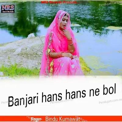 Banjari Hans Hans Ne Bol - Bindu Kumawat album cover 
