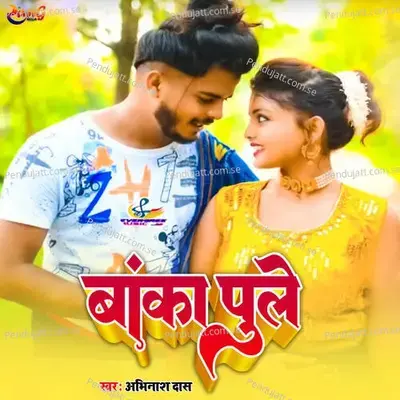 Banka Pule - Avinash Das album cover 
