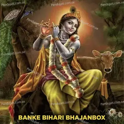 Banke Bihari Bhajanbox - Chetna album cover 