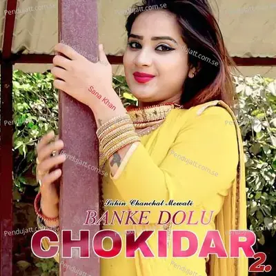 Banke Dolu Chokidar 2 - Sahin Chanchal Mewati album cover 