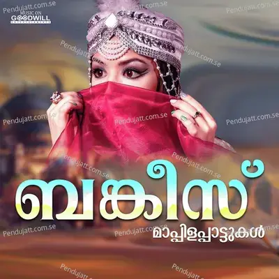 Khayideh Millath - Baby Niyan album cover 