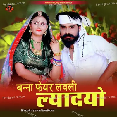 Banna Fair Lovely Ladiyo - Salim Shekhawas album cover 