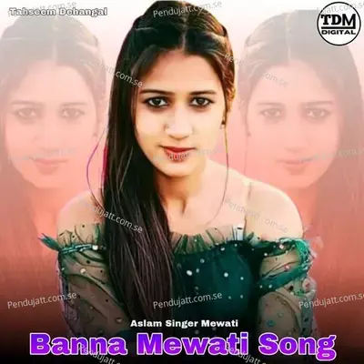 Banna Mewati Song - Tahseem Dehangal album cover 