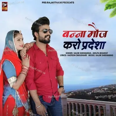 Banna Moj Karo Pradesha - Salim Shekhawas album cover 