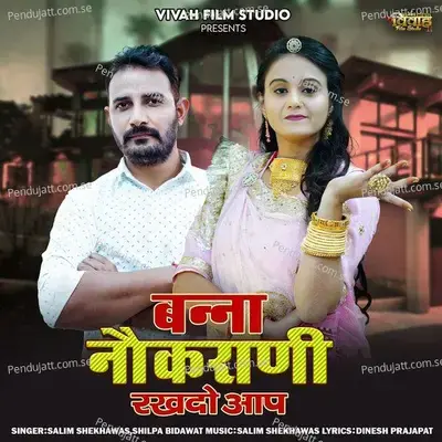 Banna Nokrani Rakhdo Aap - Salim Shekhawas album cover 