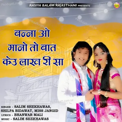 Banna O Mano To Baat Keu Lakh Ri Sa - Salim Shekhawas album cover 