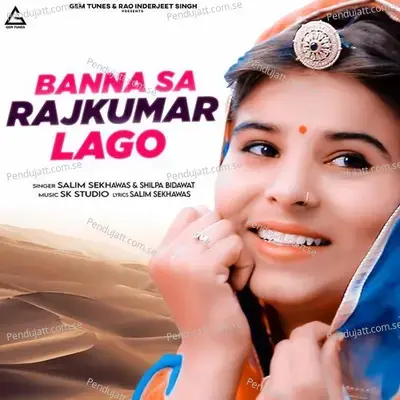 Banna Sa Rajkumar Lago - Salim Shekhawas album cover 