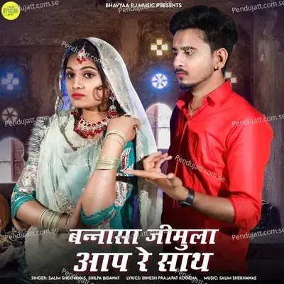 Bannasa Jimula Aap Re Sath - Salim Shekhawas album cover 
