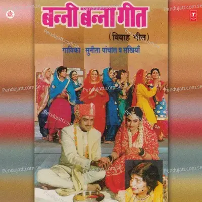 Rangeele Aay Rahe Baagon Mein - Sunita Paanchal album cover 