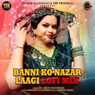 Banni Ko Nazar Laagi Lofi Mix - Dr. Ankita Chaturvedi album cover 