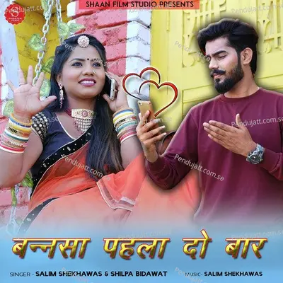 Bannsa Pahla Do Baar - Salim Shekhawas album cover 