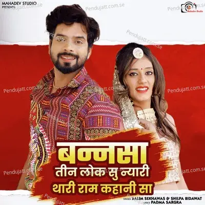 Bannsa Teen Lok Su Nyari Thari Ram Kahani Sa - Single - Salim Shekhawas