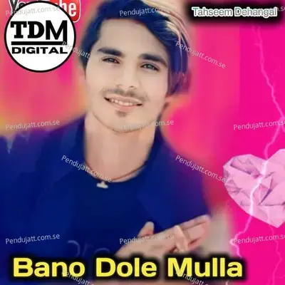 Bano Dole Mulla - Tahseem Dehangal