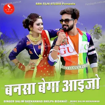 Bansa Bega Aaijo - Salim Shekhawas album cover 