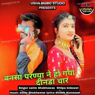Bansa Parnaya Ne Ho Gaya Dinada Char - Salim Shekhawas album cover 
