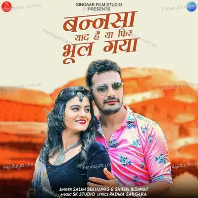 Bansa Yaad Hai Ya Phir Bhool Gaya - Salim Shekhawas