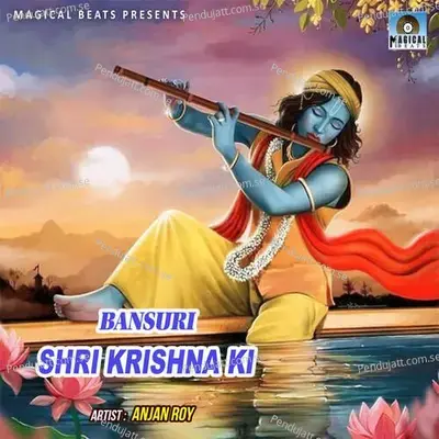 Bansuri Ki Dhun - Anjan Roy album cover 