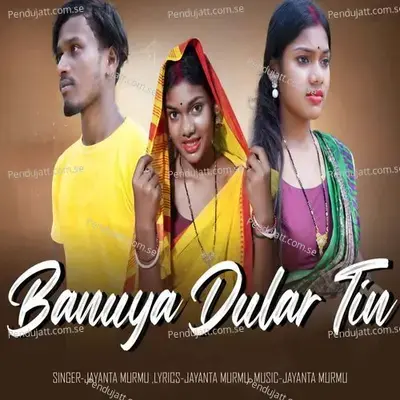 Banuya Dular Tin - Jayanta Murmu album cover 