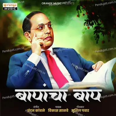 Bapancha Baap - Vikas Salve album cover 