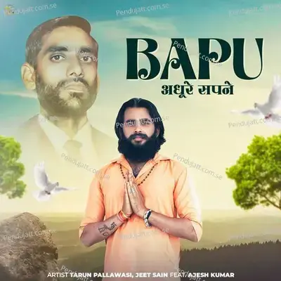 Bapu Adhure Sapne - Tarun Pallawasi album cover 