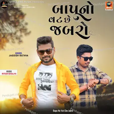 Dj Aapdu Vage Ne Chhori Jabri Nache-Bapu No Vat Che Jabro - Jagdish Rathva album cover 