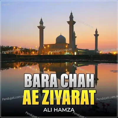 Bara Chah Ae Ziyarat - Ali Hamza album cover 