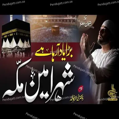 Bara Yaad Aa Raha Hai - Rizwan Soomro album cover 