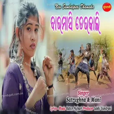 Baramasi Terakali - Satrughna album cover 