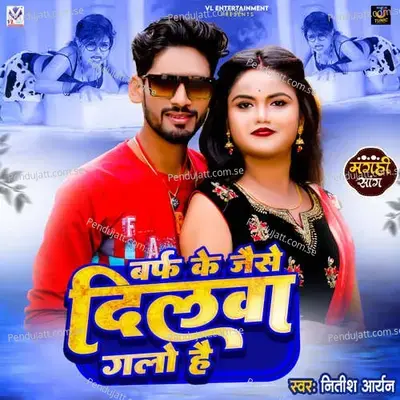 Barf Ke Jaise Dilwa Galo Hai - Nitish Aryan album cover 