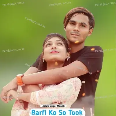 Barfi Ko So Took - Aslam Singer Mewati album cover 