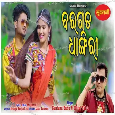 Bargada Dhangiri - Santanu Sahu album cover 