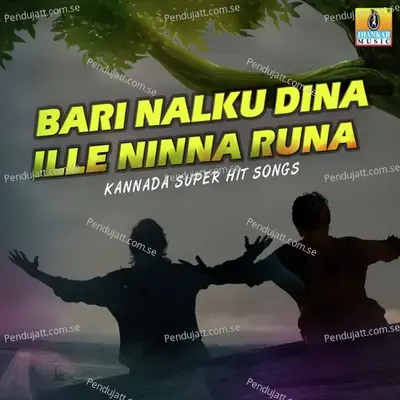 Bari Nalku Dina - Sadhu Kokila album cover 