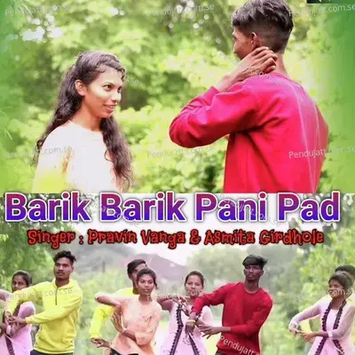 Barik Barik Pani Pad - Pravin Vanga album cover 