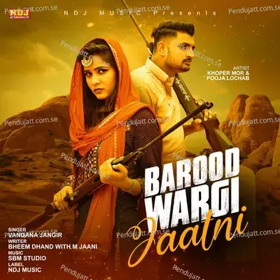 Barood Wargi Jaatni - Vandana Jangir album cover 