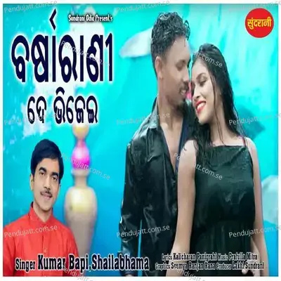Barsa Rani De Bhijei - Kumar Bapi album cover 