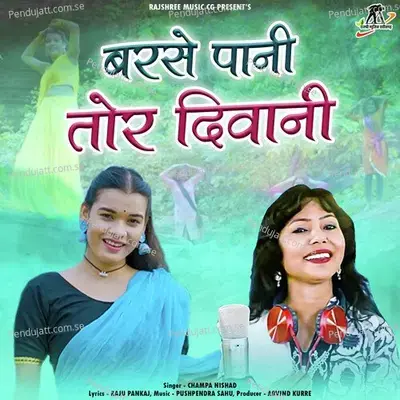Barse Pani Tor Diwani - Champa Nishad album cover 